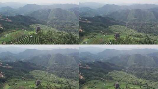 航拍柳州三江高山生态茶园茶山 4k高清在线视频素材下载