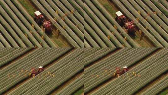 乡村振兴机械化自动喷洒农药高清在线视频素材下载