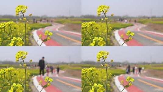 春天人在油菜花前景的路上走路高清在线视频素材下载