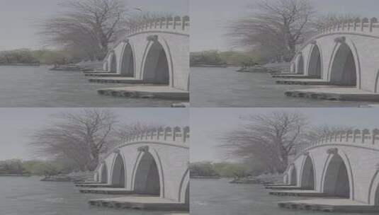 玉渊潭柳树和桥边上是波光粼粼的湖面4k50帧高清在线视频素材下载