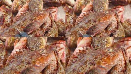 海鲜市场的石斑鱼高清在线视频素材下载