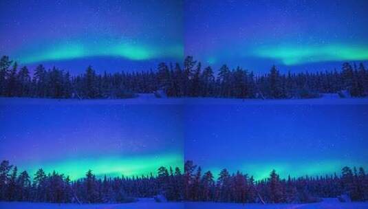 冬季森林上空的北极光4K高清在线视频素材下载