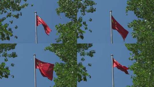 绿荫中迎风飘扬的红旗高清在线视频素材下载