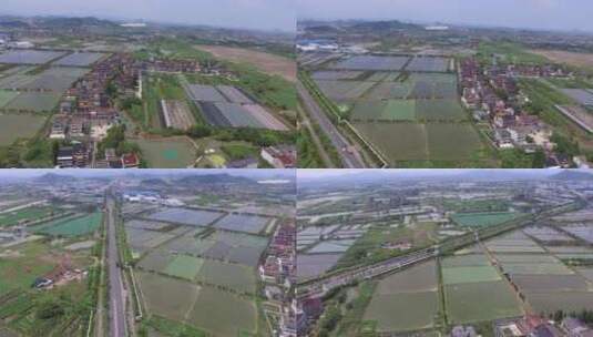 原创拍摄航拍水稻田地农业生产飞过高清在线视频素材下载