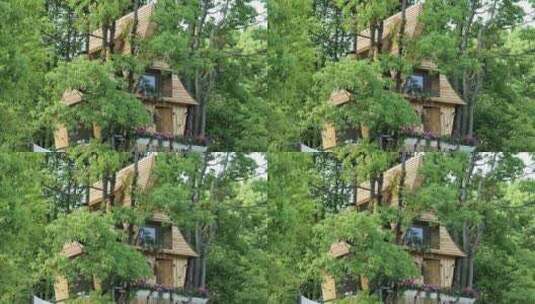 阳光下树林里的木屋2高清在线视频素材下载