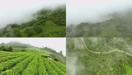 航拍大别山桐城龙眠山茶园4K高清在线视频素材下载