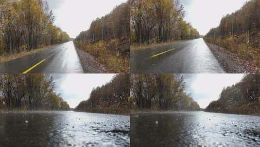 雨中森林公路景色高清在线视频素材下载