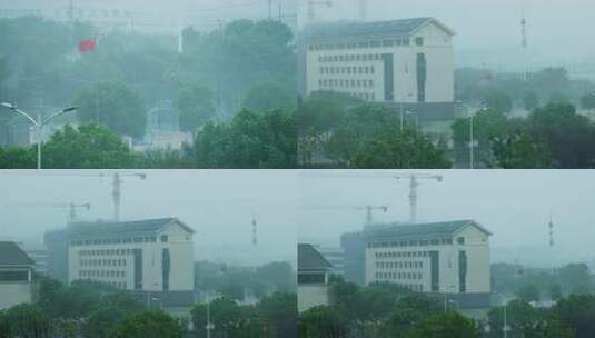 狂风暴雨中的城市街景 绿化植物高清在线视频素材下载