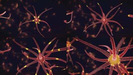 黄色神经元通过紫色管游动高清在线视频素材下载