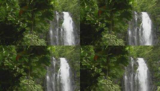 热带雨林的瀑布高清在线视频素材下载