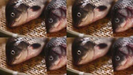 鱼鳃辨别鱼新鲜程度高清在线视频素材下载