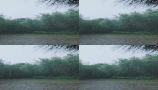 雨中竹林高清在线视频素材下载