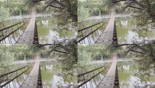 深圳东湖公园铁索桥高清在线视频素材下载