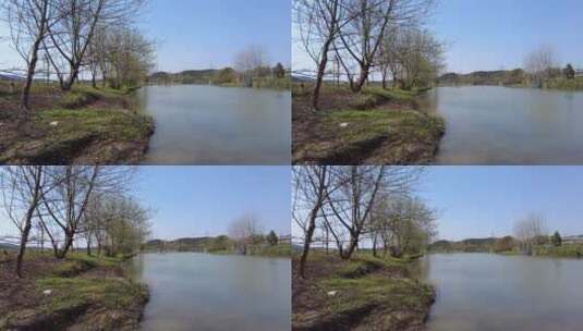 春天郴州西河风光带河流高清在线视频素材下载