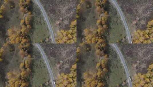 林中公路俯瞰车辆行走4k素材高清在线视频素材下载