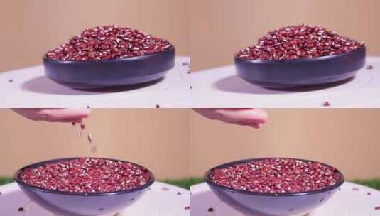赤小豆素材高清在线视频素材下载