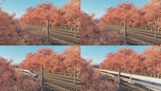 樱花道下的火车高清在线视频素材下载