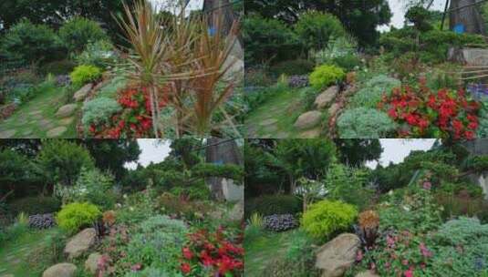 广西南宁南湖公园花坛园艺造型唯美四季花园高清在线视频素材下载