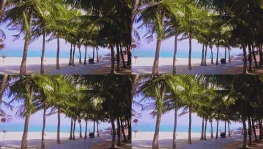 海南三亚椰林蓝天沙滩玻璃海升格广角度假高清在线视频素材下载