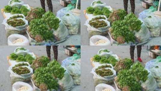 东北农村春天山野菜集市高清在线视频素材下载