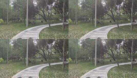 公园中的小路高清在线视频素材下载