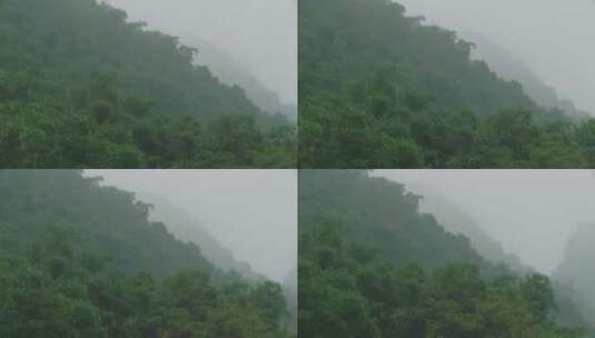 鹿峰山热带原始森林高清在线视频素材下载