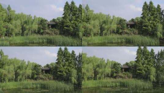 武汉硚口区园博园园风景高清在线视频素材下载