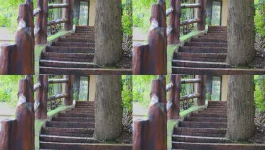 树林里的楼梯走廊高清在线视频素材下载