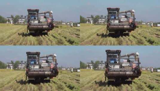秋收稻田收割机航拍高清在线视频素材下载