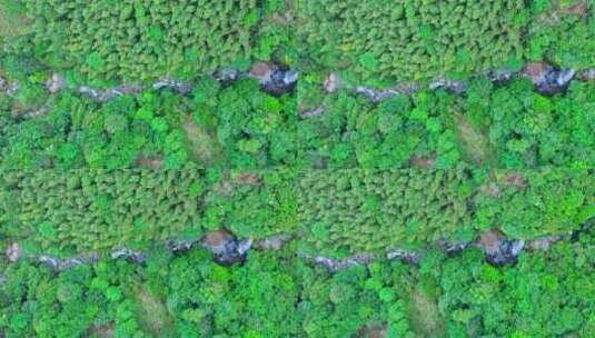 森林公园山涧瀑布俯拍横移高清在线视频素材下载