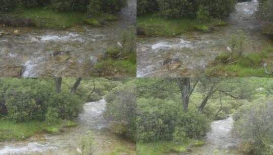 香格里拉牧场农场溪水河流风光风景高清在线视频素材下载