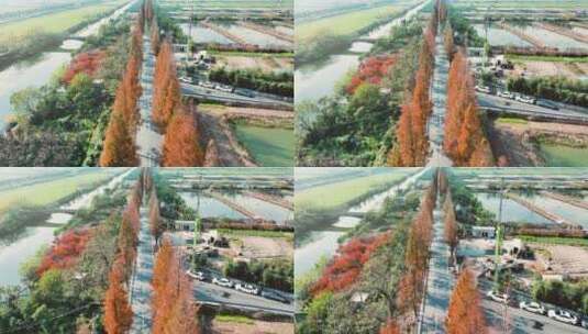 杭州钱塘区观十五线秋景航拍高清在线视频素材下载