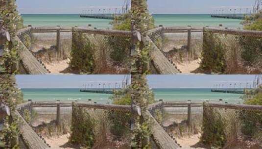 墨尔本海边木栈道树林栏杆通道高清在线视频素材下载
