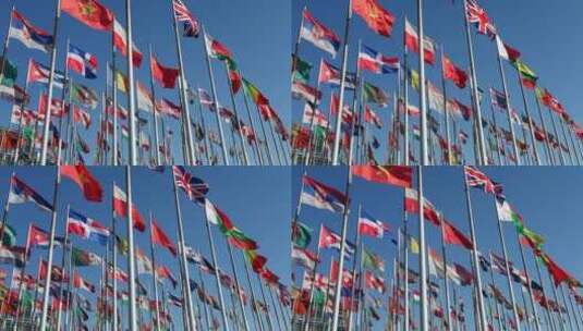 国际会议旗帜飘扬高清在线视频素材下载