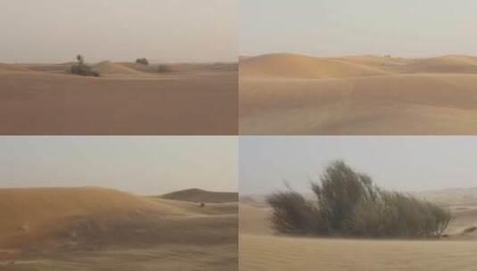 实拍风吹沙子 风吹沙漠 沙漠高清在线视频素材下载