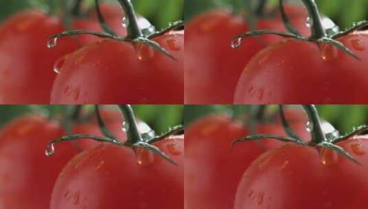 水滴滴在红色番茄上瞬间高清在线视频素材下载