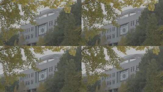 清华大学校园空镜高清在线视频素材下载