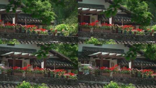 晴天古建筑露台上的小花园高清在线视频素材下载