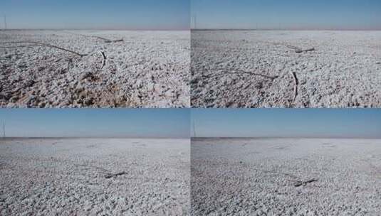 荒漠化盐碱地的枯草高清在线视频素材下载