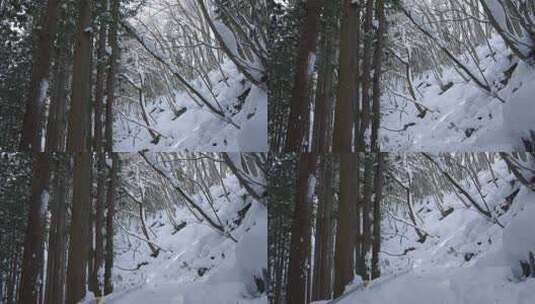 大雪覆盖下的森林小路高清在线视频素材下载