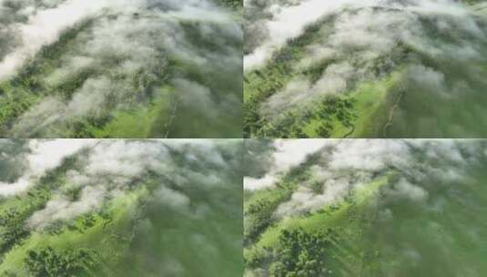 航拍夏日山林云海云雾高清在线视频素材下载