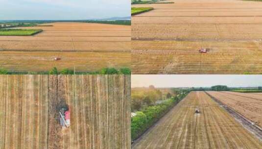 农场 万亩麦田收割 乡村振兴合集高清在线视频素材下载