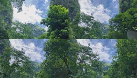 骑车仰拍天空绿树|小清新空镜高清在线视频素材下载