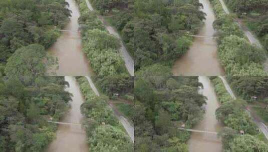 秘鲁丛林狭窄道路和人行河桥的空中天桥高清在线视频素材下载