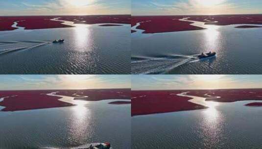 辽宁盘锦红海滩湿地高清在线视频素材下载