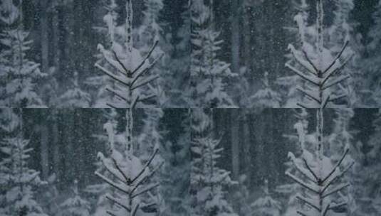 唯美雾凇冬季冬天自然风光高清在线视频素材下载