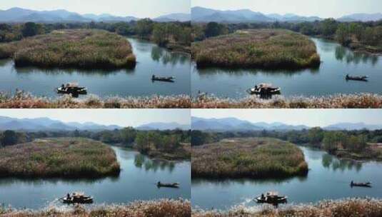 中国杭州西溪湿地秋日美景高清在线视频素材下载