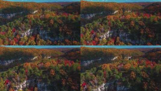 航拍秋天红色的森林高清在线视频素材下载