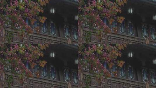 清代古宅徽派建筑杭州胡雪岩故居空镜高清在线视频素材下载