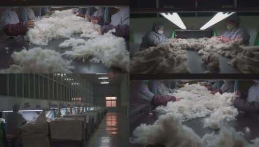 羊绒加工高清在线视频素材下载